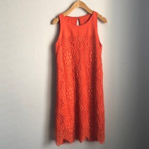 3/$50 Trina Turk Lace Dress NWT